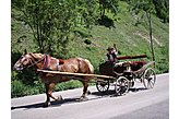 Viesu māja Ždiar Slovākija